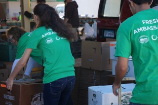Loading boxes!